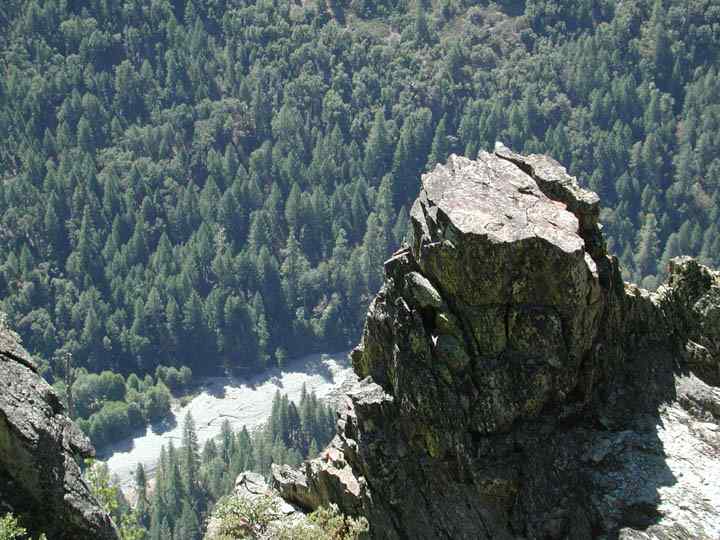 falcon perch