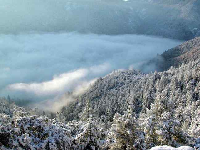 dawn over fog